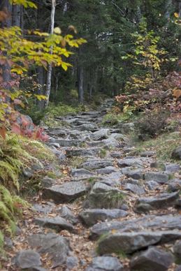 rocks trees trail hiking