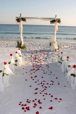 romantic beach wedding pictures 2