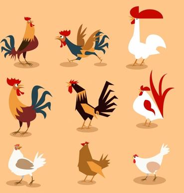 rooster icons collection various multicolored types cartoon design