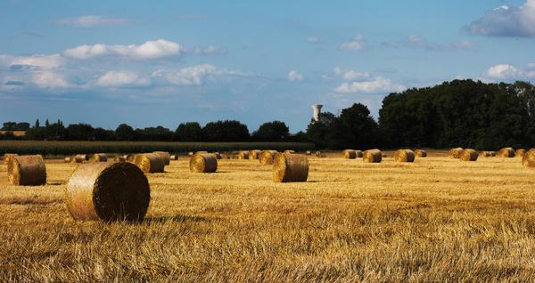round bales to the north