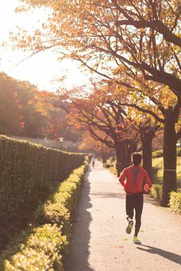 runner in the autumn leaves