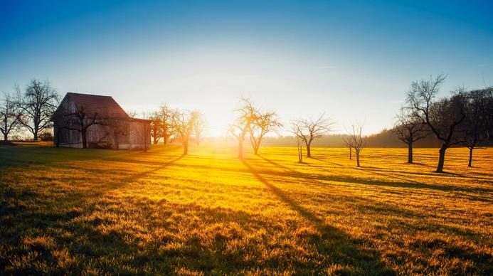 rural scene picture contrast sunlight meadow cottage 