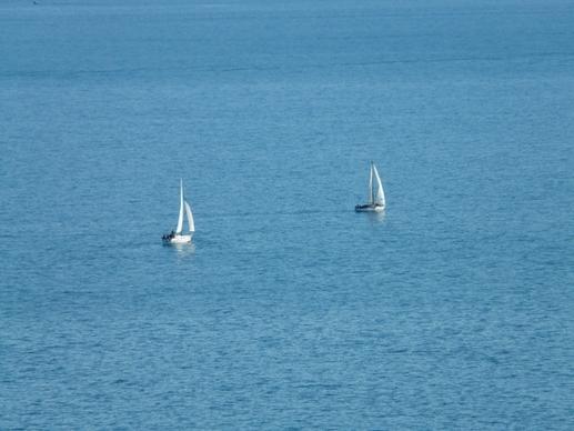 sailing boats sail water