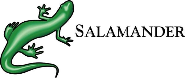 salamander 0