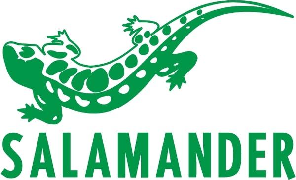 salamander 1