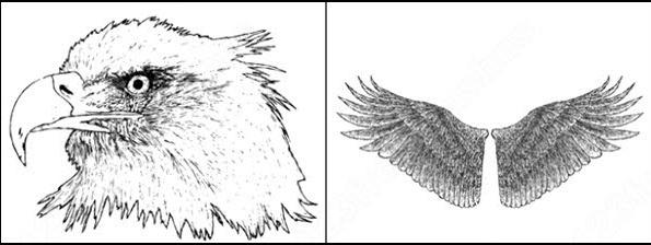 sample file from hand drawn wings, eagle and skull vector and photoshop brush