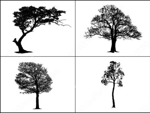 sample file from tree master vector and photoshop brush