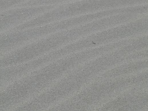 sand fine grain grey