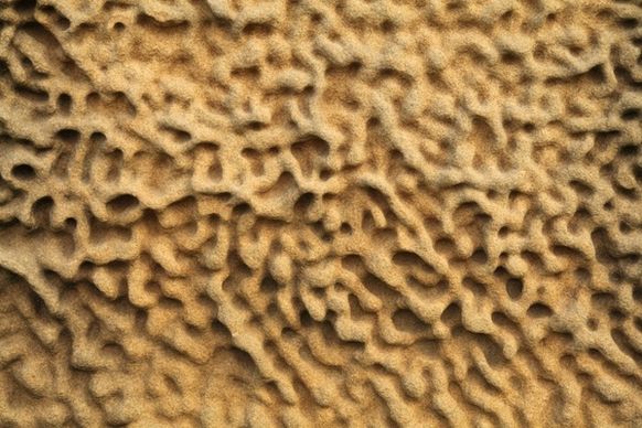 sandstone erosion pattern