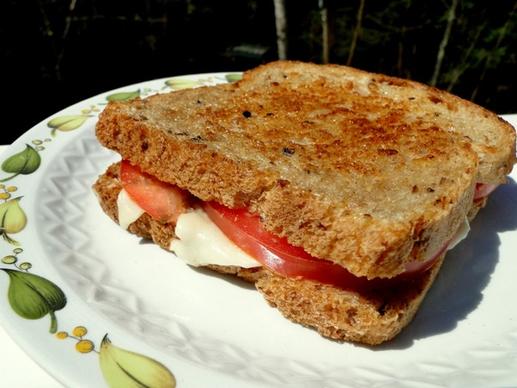 sandwich food grilled cheese
