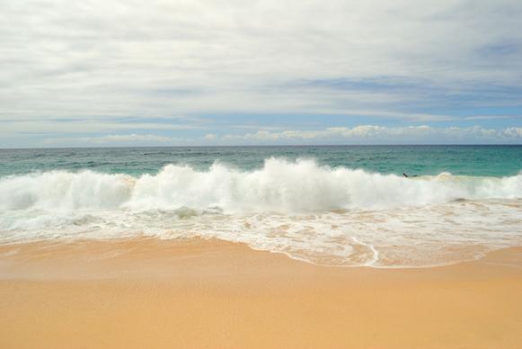 sandy beach waves