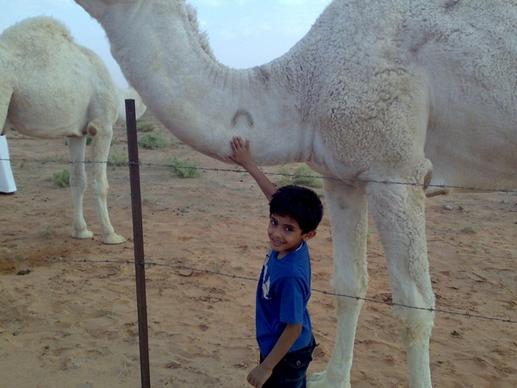 saudi arabia camel boy
