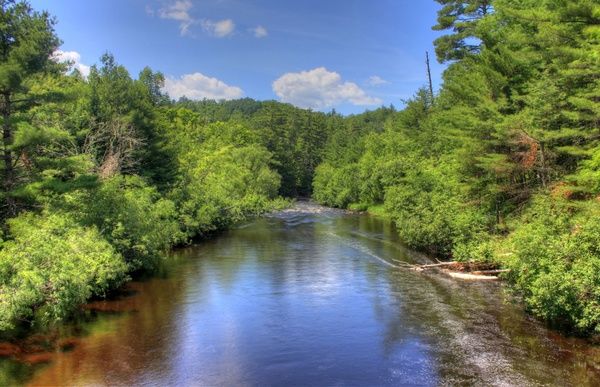 scenic landscape of the bad river at copper falls state park wisconsin