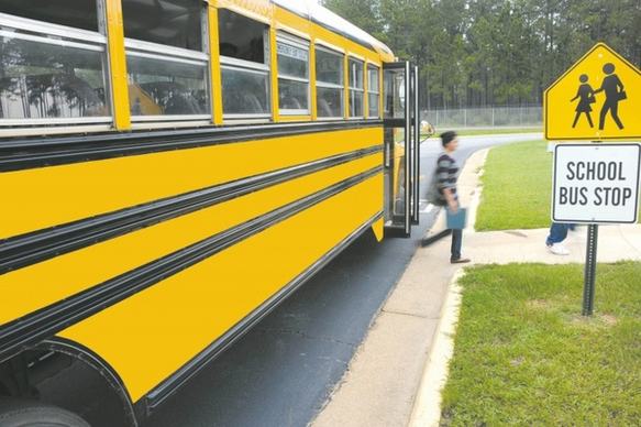 schoolbus vehicle bus