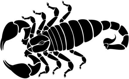 scorpion silhouette vector