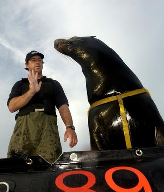 sea lion man trainer