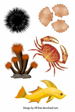 sea species icons colorful modern design