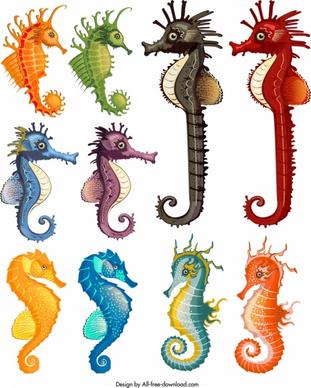 seahorse species icons collection multicolored cartoon design