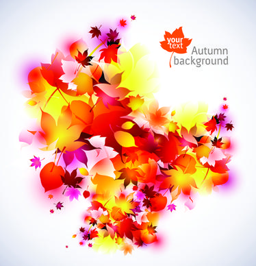 set of abstract autumn leave design elements vector