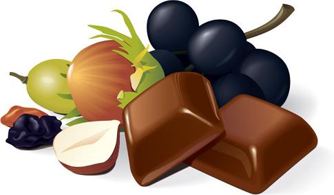 set of chocolate design elements vector