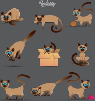 set of cute siamese cat in different positions