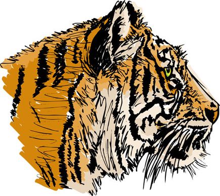 set of tiger elements vector