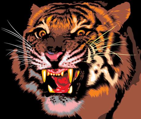 set of tiger vector picture art