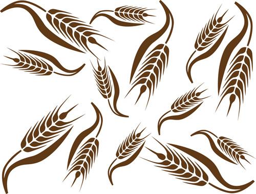 set of wheat patterns mix vector
