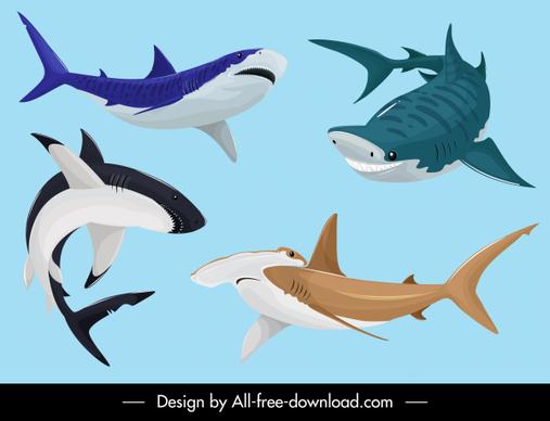 sharks icons motion sketch cartoon design