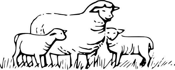 Sheep Standing clip art