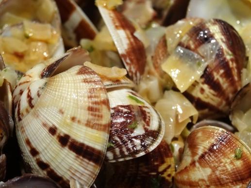 shell eat sea fruit