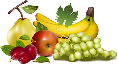 shiny fruits creative vector graphics