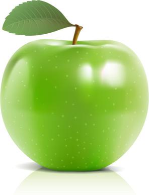 shiny green apple vector