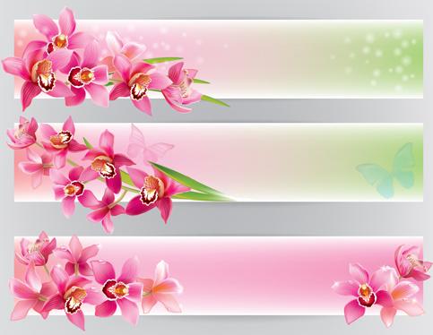 shiny orchids banners vector design