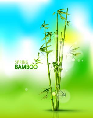 shiny spring bamboo vector background