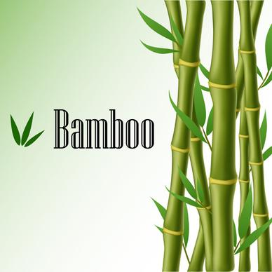 shiny spring bamboo vector background