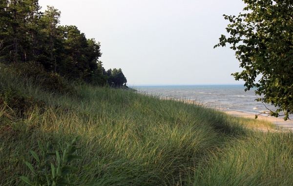 shoreline and forest at point beach state park wisconsin