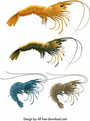 shrimp icons templates shiny colored sketch