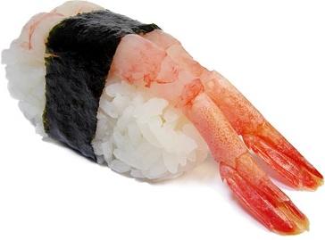 shrimp sushi picture