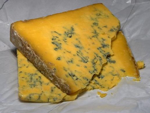 shropshire blue cheese blue mold mold
