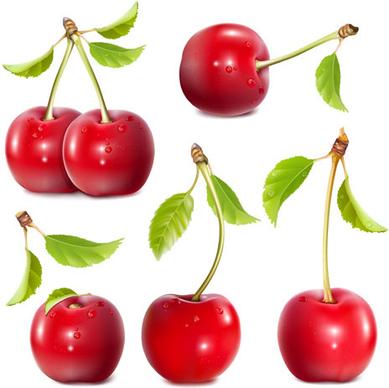 shuilingling cherry vector