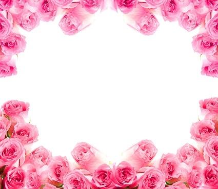 side of the pink roses picture