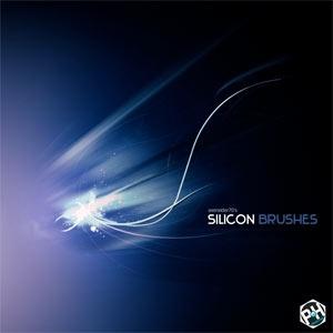 Silicon Brushes