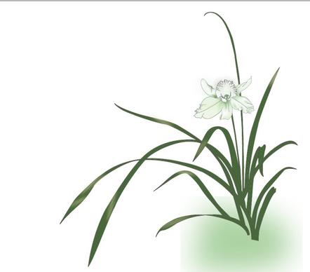 simple orchid design vector
