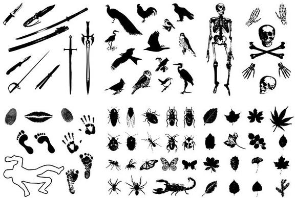 skeleton leaves insects birds imprint sword silhouette vector