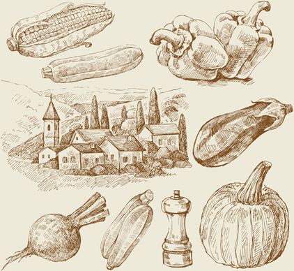 sketch village with vegetables vector