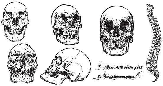 Skull vector pack