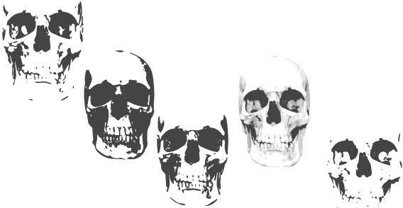 Skull vectors
