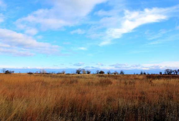 sky over fields at illinois beach state park illinois