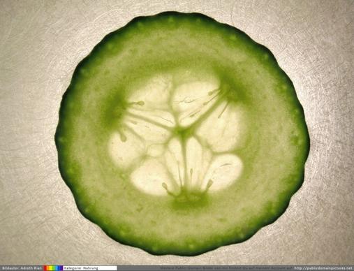 slice of cucumber green